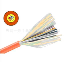 供应gjfjv 12b1室内12芯单模束状软光缆